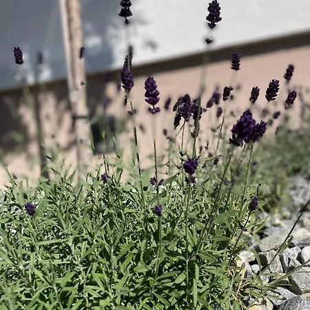 Luserblick * Haus im Ennstal