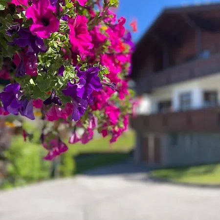 Apartmán Luserblick *