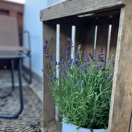 Luserblick Apartmán Haus im Ennstal