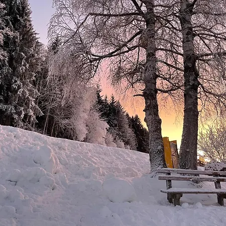 Apartmán Luserblick *