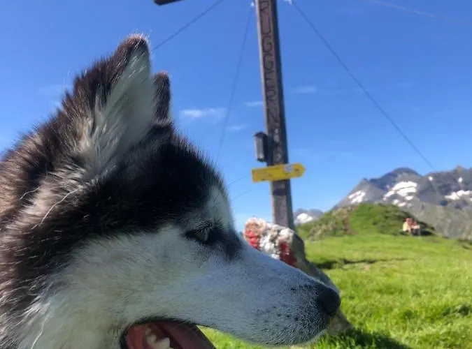 Luserblick هاوس إم إنيستال