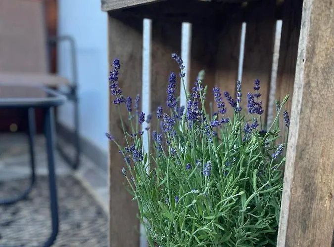 Luserblick 公寓 恩斯塔尔豪斯